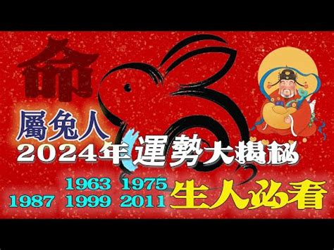 2011年是什麼年